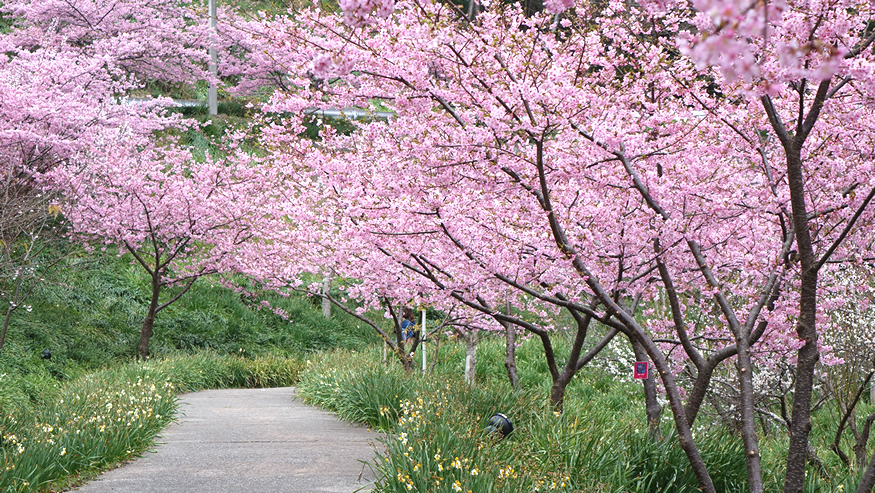 f:id:matakun_1007:20190228193135j:plain