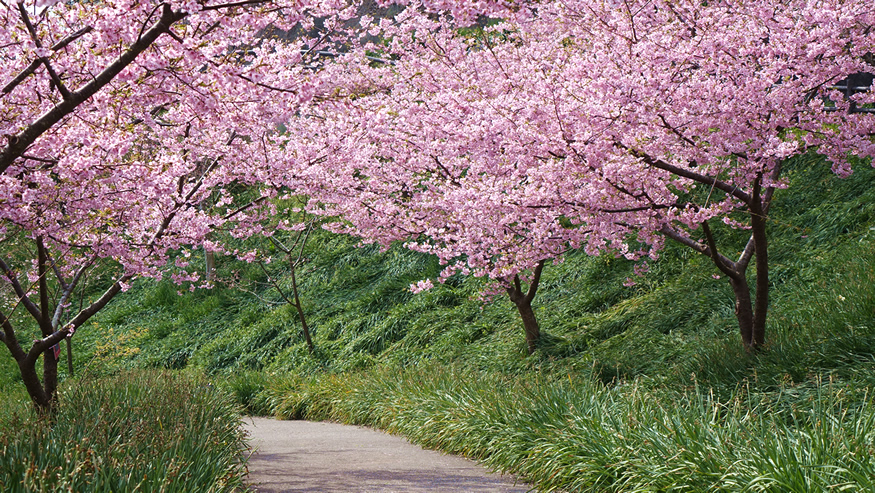 f:id:matakun_1007:20190303174159j:plain