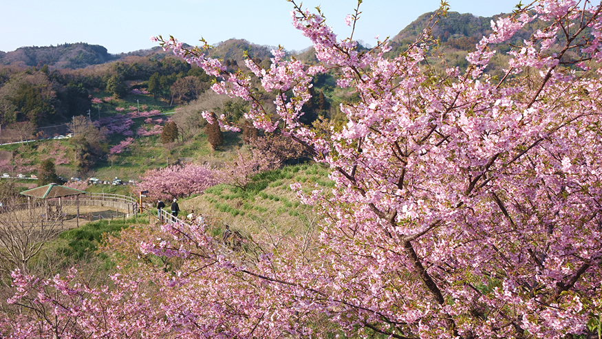 f:id:matakun_1007:20190303174225j:plain