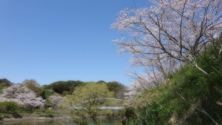 f:id:matakun_1007:20190411184221j:plain