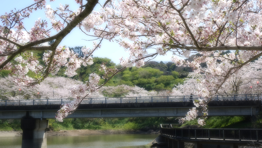 f:id:matakun_1007:20190411184235j:plain