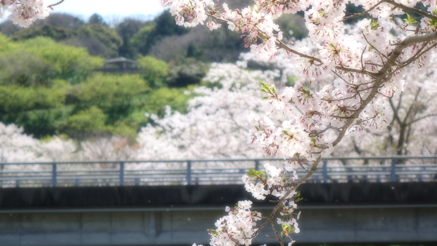 f:id:matakun_1007:20190411184243j:plain