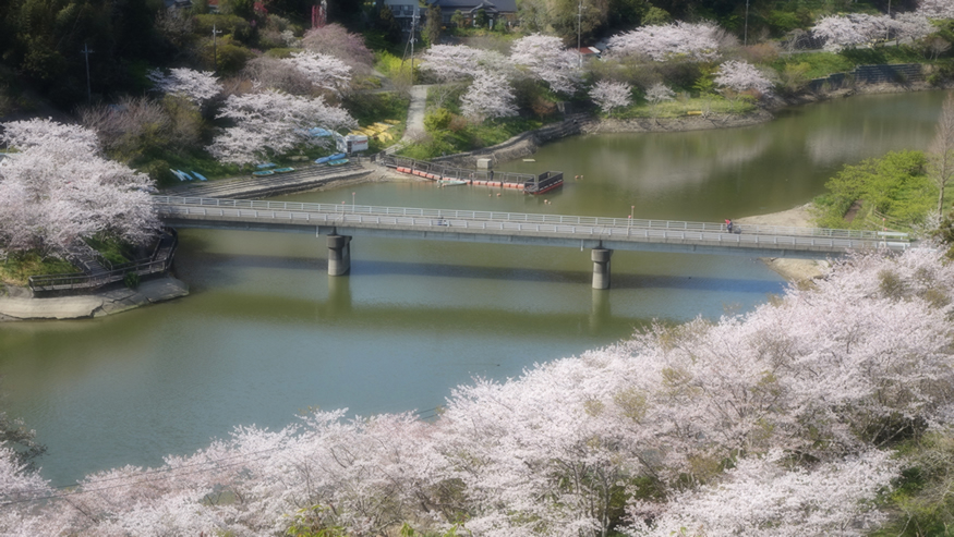 f:id:matakun_1007:20190411184301j:plain