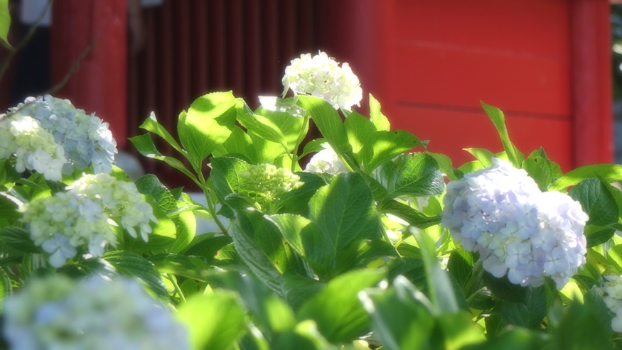 f:id:matakun_1007:20190617191110j:plain