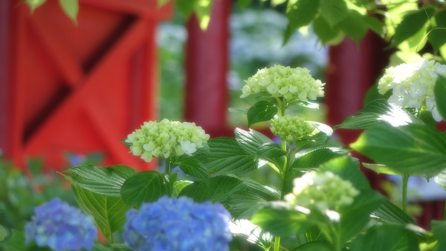 f:id:matakun_1007:20190617191130j:plain