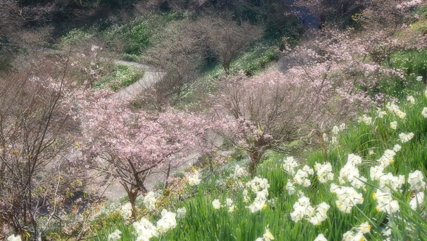 f:id:matakun_1007:20200206182604j:plain