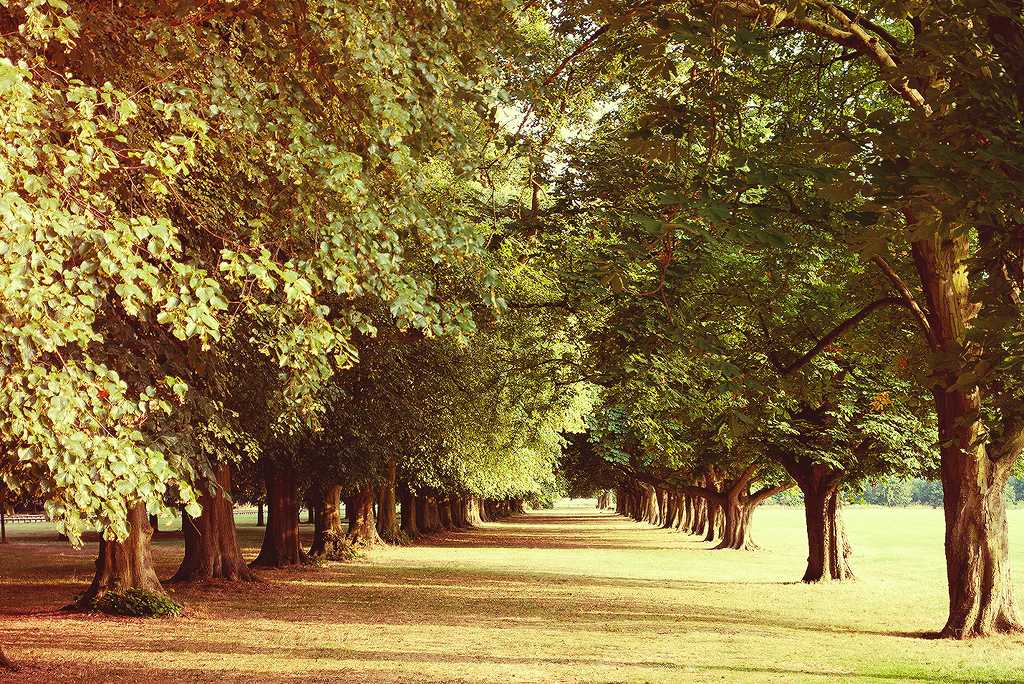 f:id:mataro1:20150923083210j:plain f:id:mataro1:20150923083210j:plain