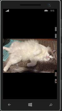 f:id:matatabi_ux:20150517215002p:plain f:id:matatabi_ux:20150517215002p:plain