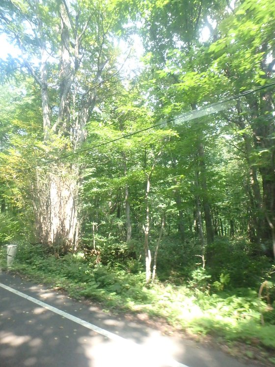 f:id:matatabibakari:20190901052151j:plain