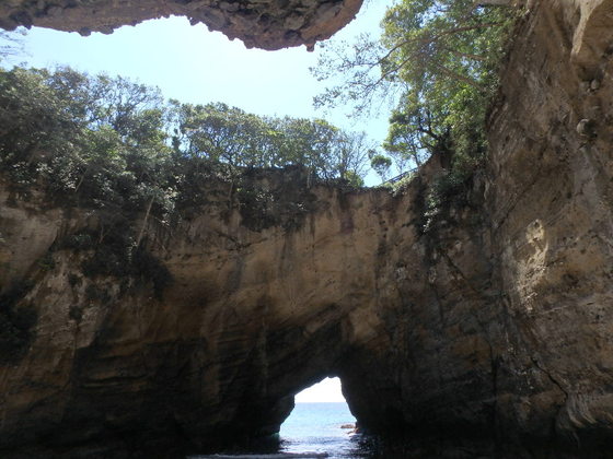 f:id:matatabibakari:20190901214239j:plain