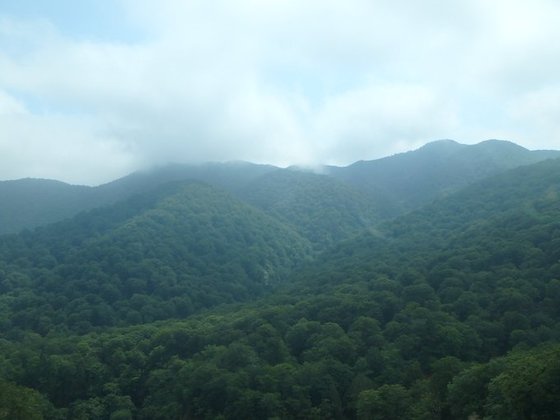 f:id:matatabibakari:20190901215045j:plain