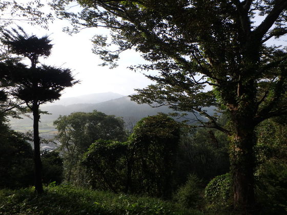 f:id:matatabibakari:20190901215224j:plain