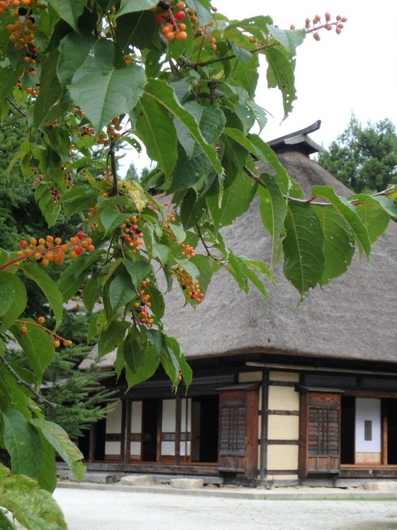 f:id:matatabibakari:20190901215257j:plain