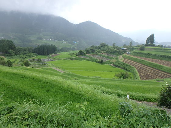 f:id:matatabibakari:20190901221855j:plain