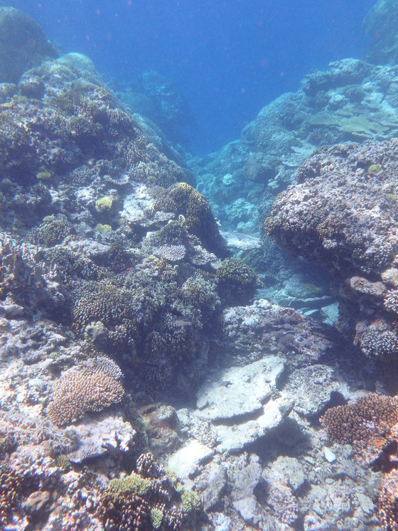 f:id:matatabibakari:20190901221936j:plain