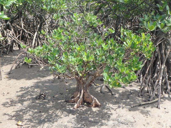 f:id:matatabibakari:20190901222304j:plain