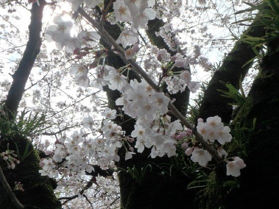 f:id:matatabibakari:20190901222734j:plain