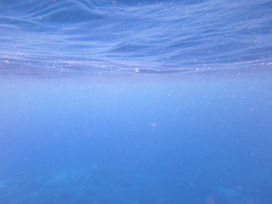 f:id:matatabibakari:20190901222944j:plain