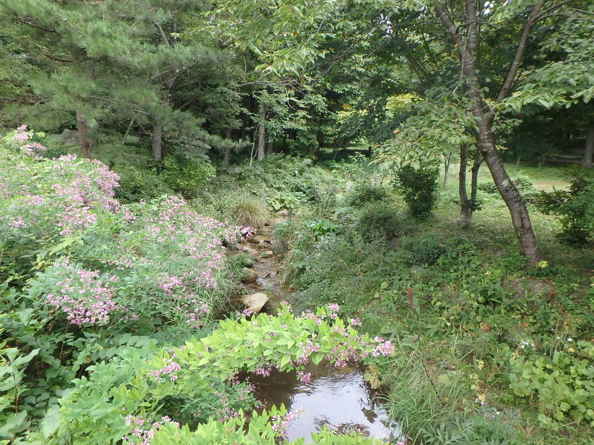 f:id:matatabibakari:20191005202233j:plain