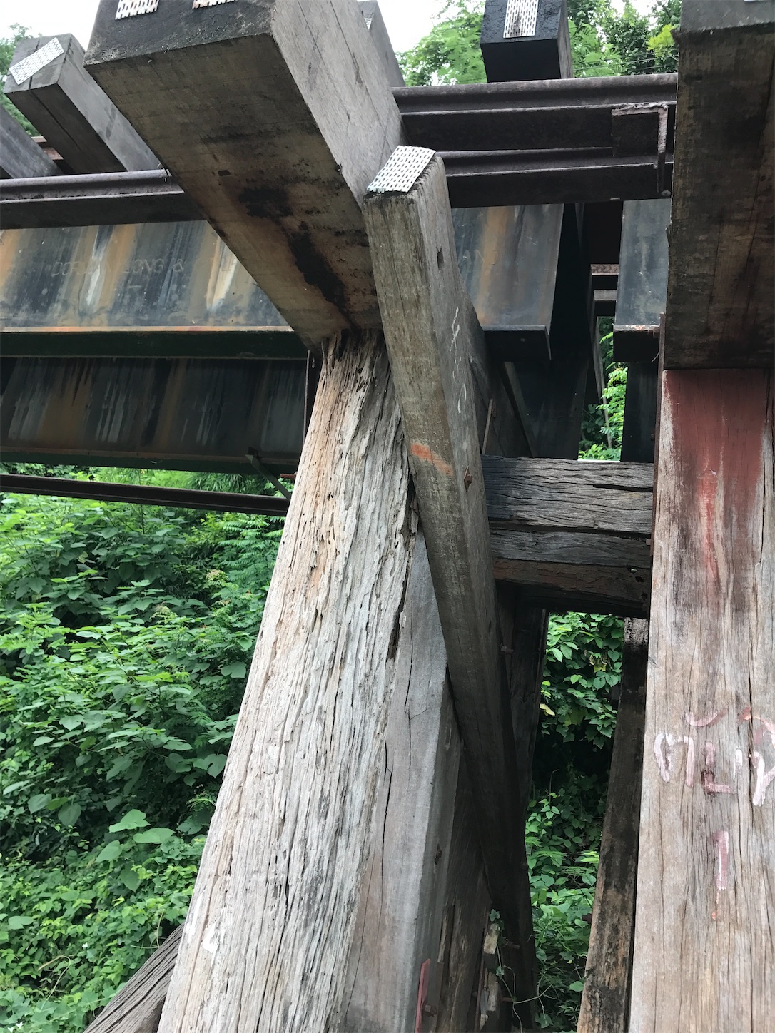 f:id:matatabihaiyuu:20220723210309j:image f:id:matatabihaiyuu:20220723210309j:image