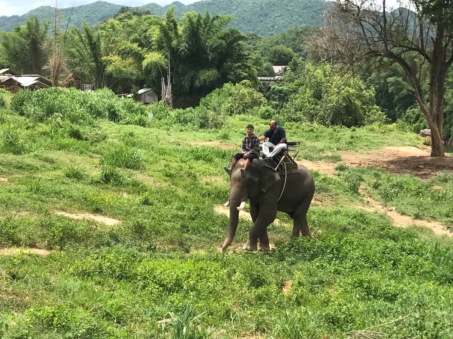 f:id:matatabihaiyuu:20220730030507j:image f:id:matatabihaiyuu:20220730030507j:image