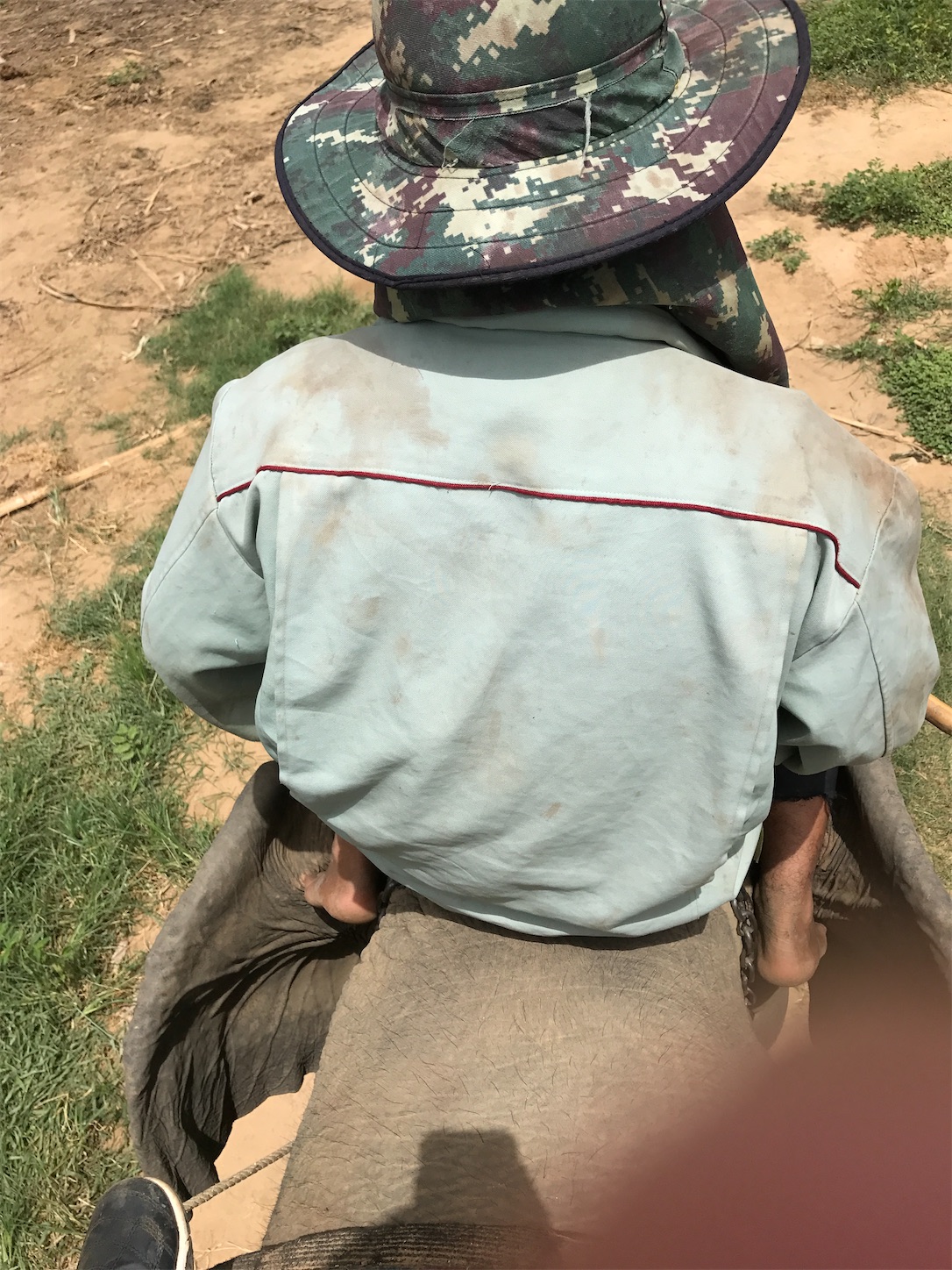 f:id:matatabihaiyuu:20220730031434j:image f:id:matatabihaiyuu:20220730031434j:image