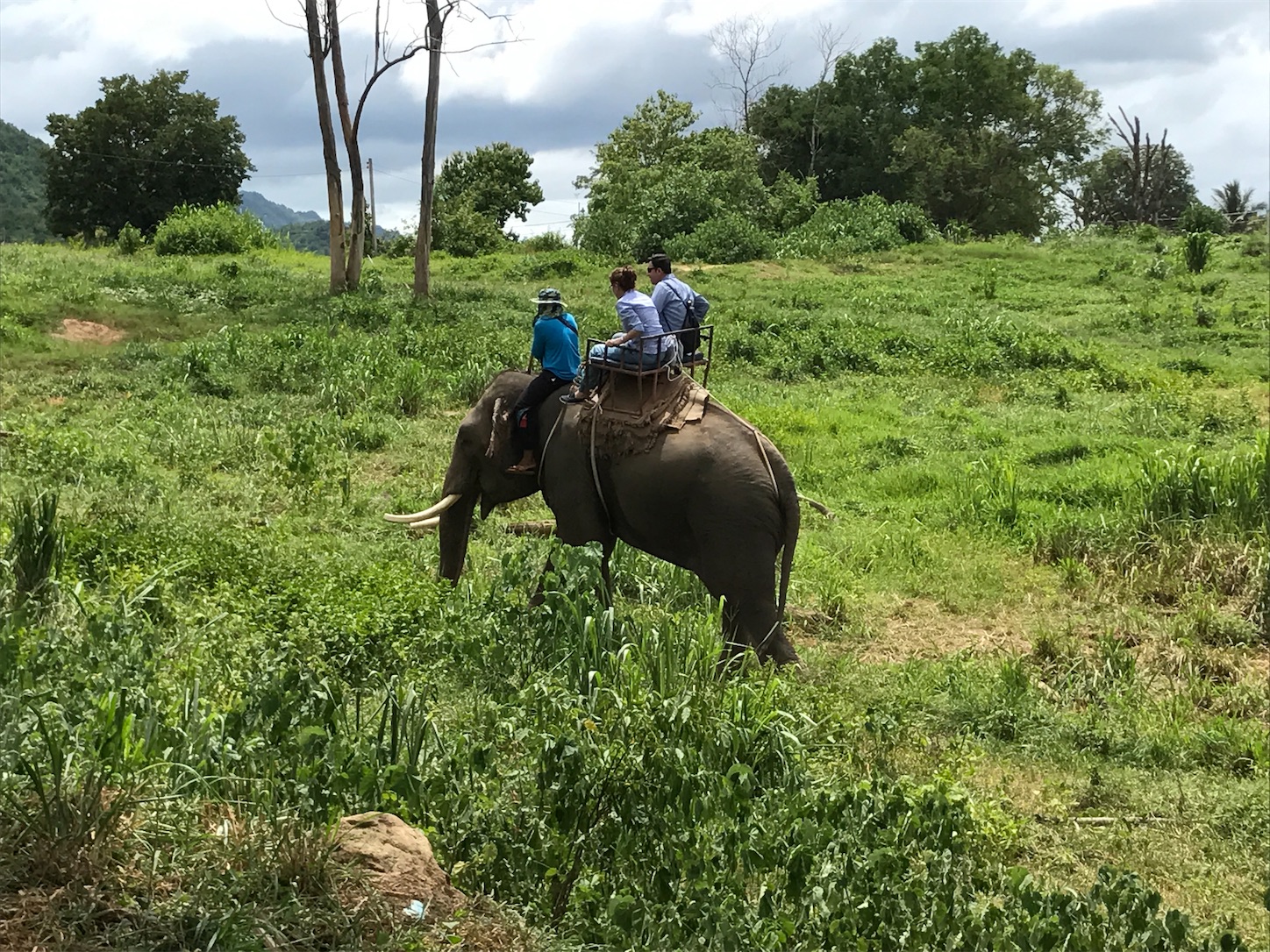 f:id:matatabihaiyuu:20220730032150j:image f:id:matatabihaiyuu:20220730032150j:image