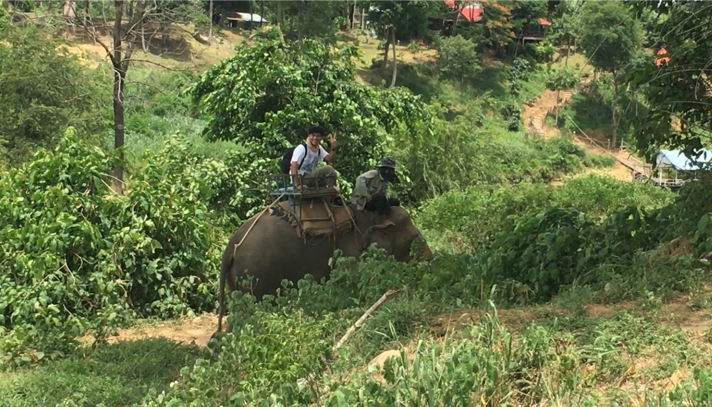 f:id:matatabihaiyuu:20220730035835j:image f:id:matatabihaiyuu:20220730035835j:image