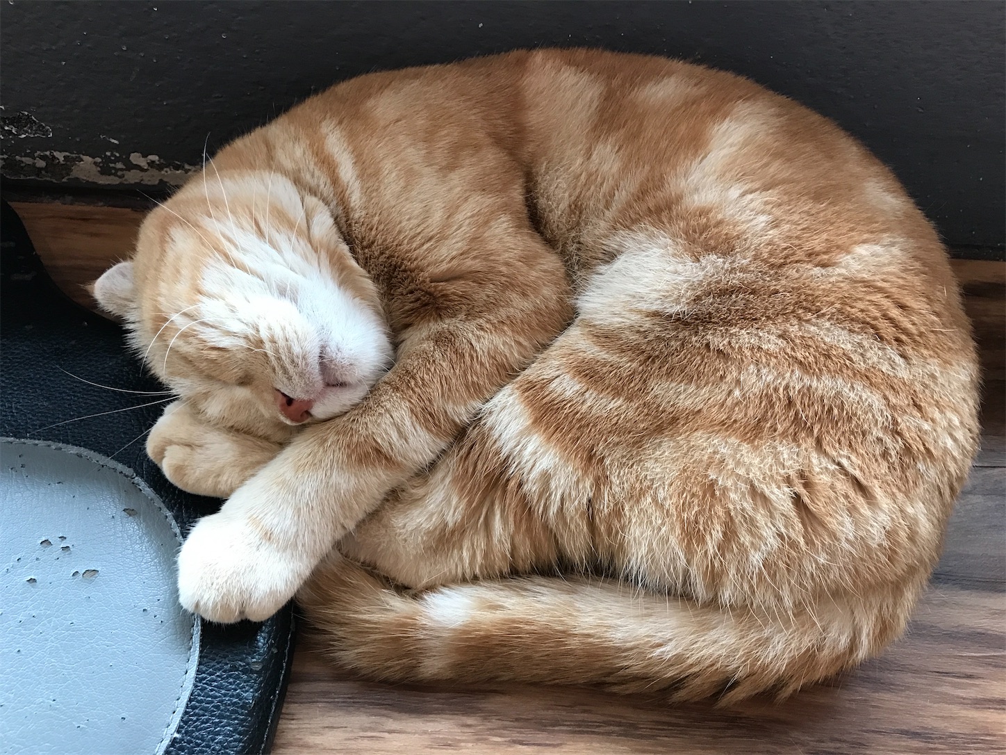 f:id:matatabihaiyuu:20220809210222j:image f:id:matatabihaiyuu:20220809210222j:image