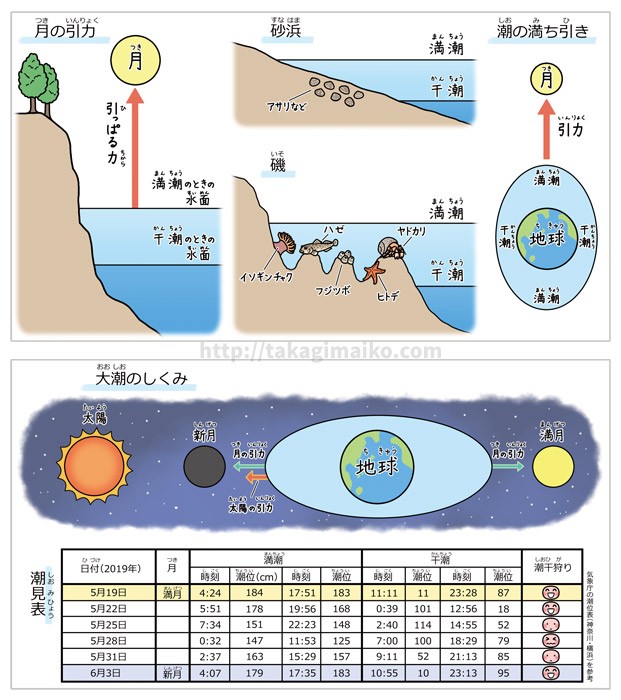新月大潮 | 満月と大潮の関係 – FTJVY
