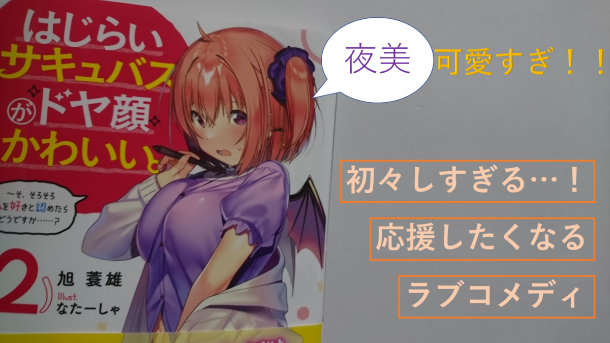 初々しいさ100満点のラノベ はじらいサキュバスがドヤ顔かわいい ２ 感想 ヲタクのヲタクによるヲタクのためのレビュー館
