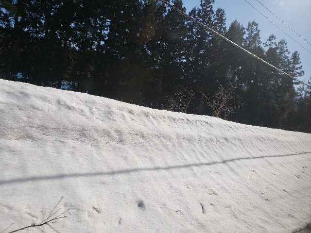 f:id:matchaiko122:20190523082546j:image