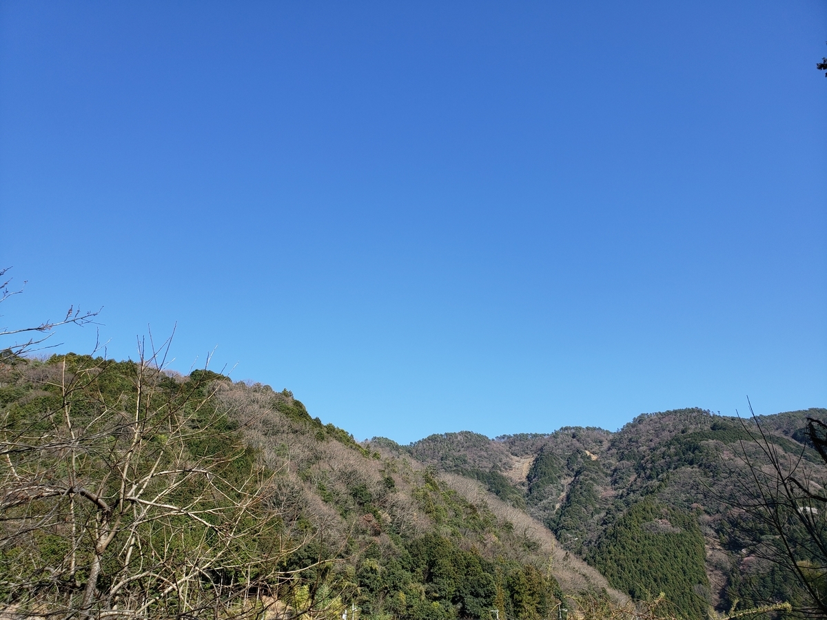 f:id:matcho-nature:20200320214447j:plain