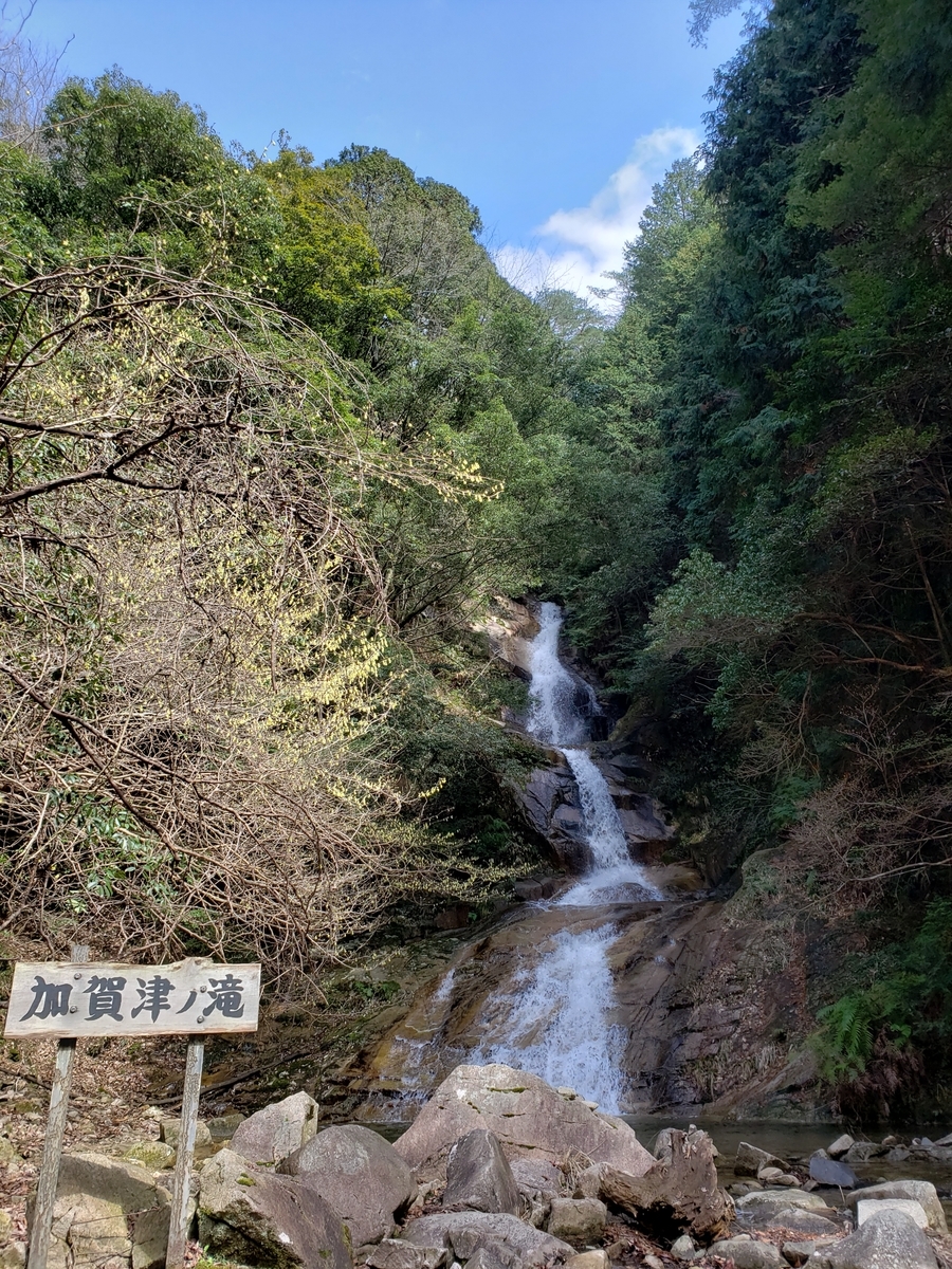 f:id:matcho-nature:20200330211324j:plain