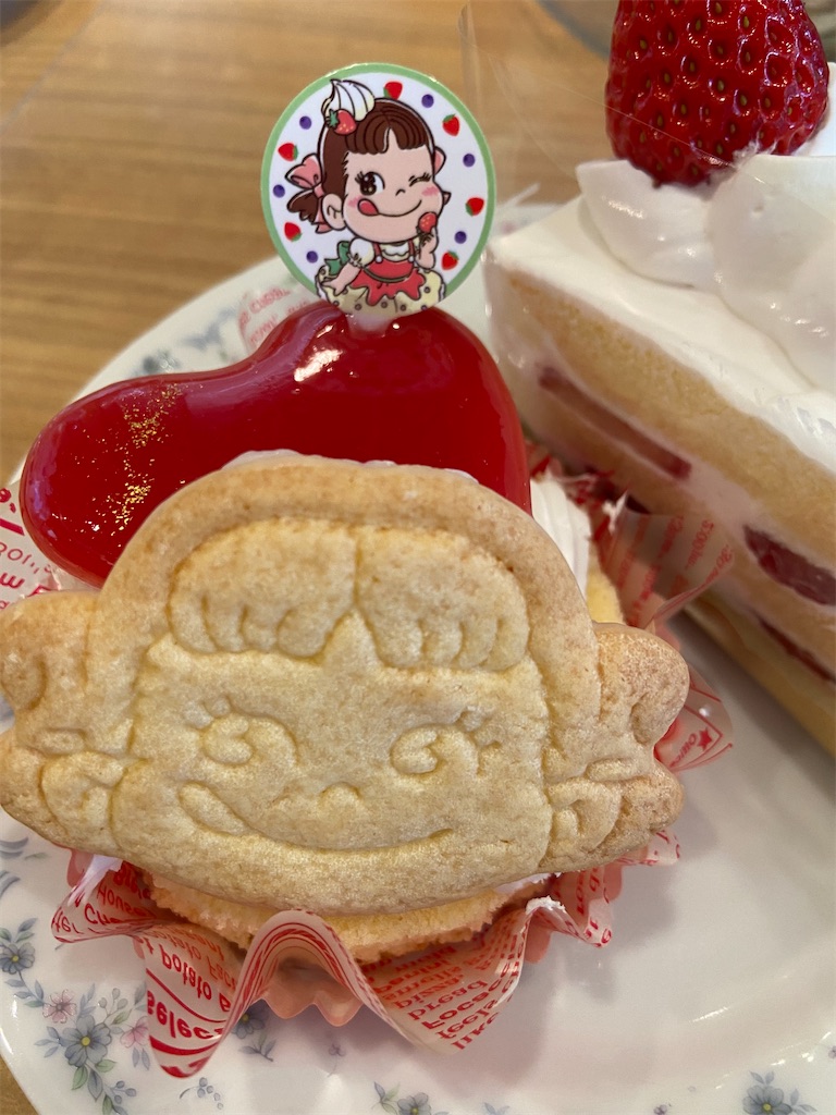 f:id:materianomori:20250309190109j:image