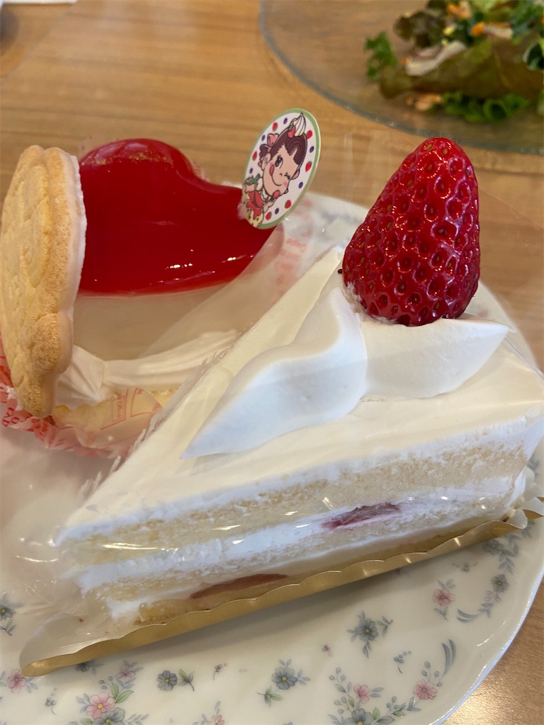 f:id:materianomori:20250309190205j:image
