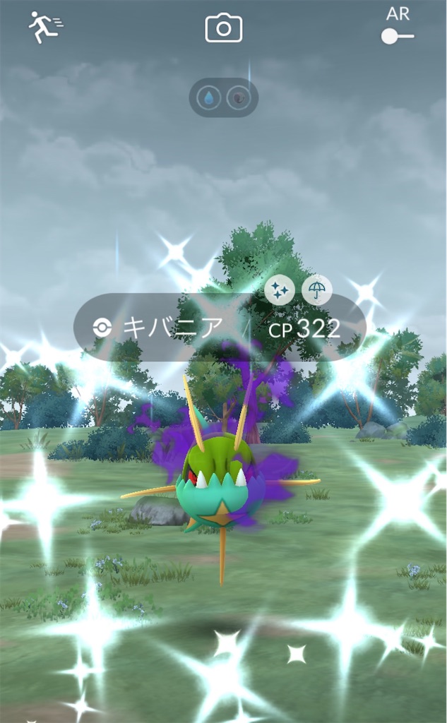 f:id:materight:20240809223409j:image