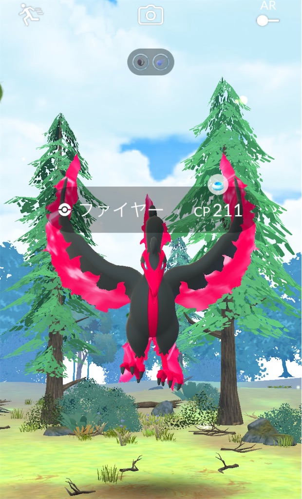 f:id:materight:20240904100857j:image