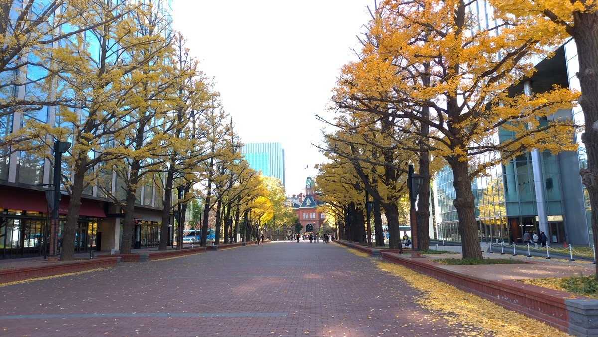 f:id:matetsu:20191103112812j:plain