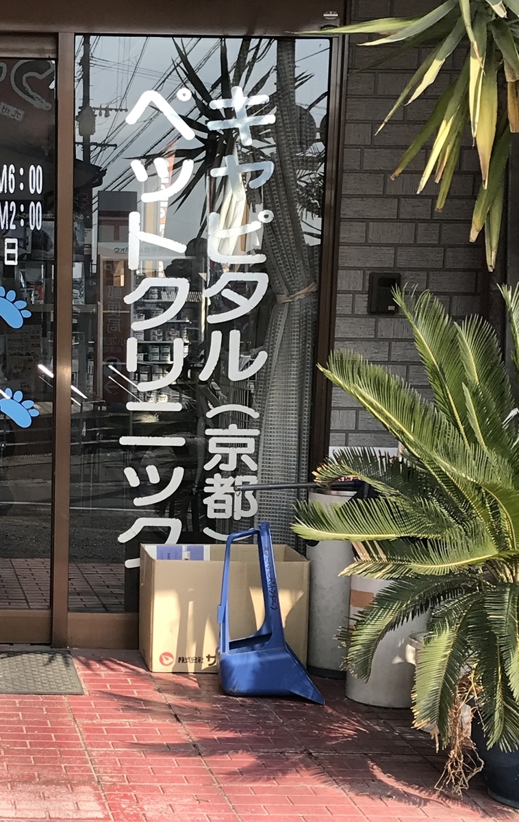 f:id:math_shiro:20210515000849j:plain