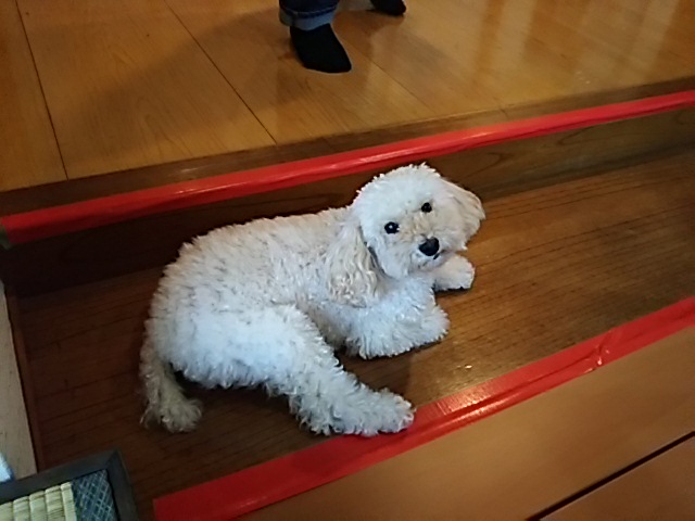 イメージ 3