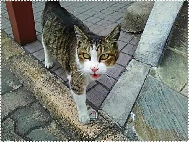 イメージ 2