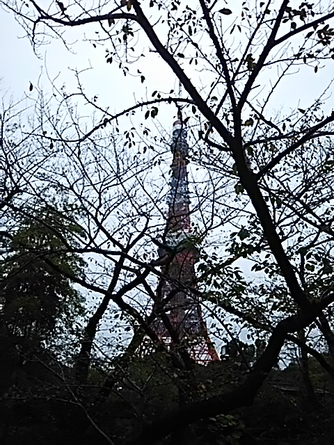 f:id:mathichen:20200513105641p:plain