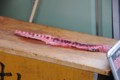 20120128134522