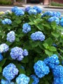 20120610183308
