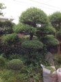 20120624141940