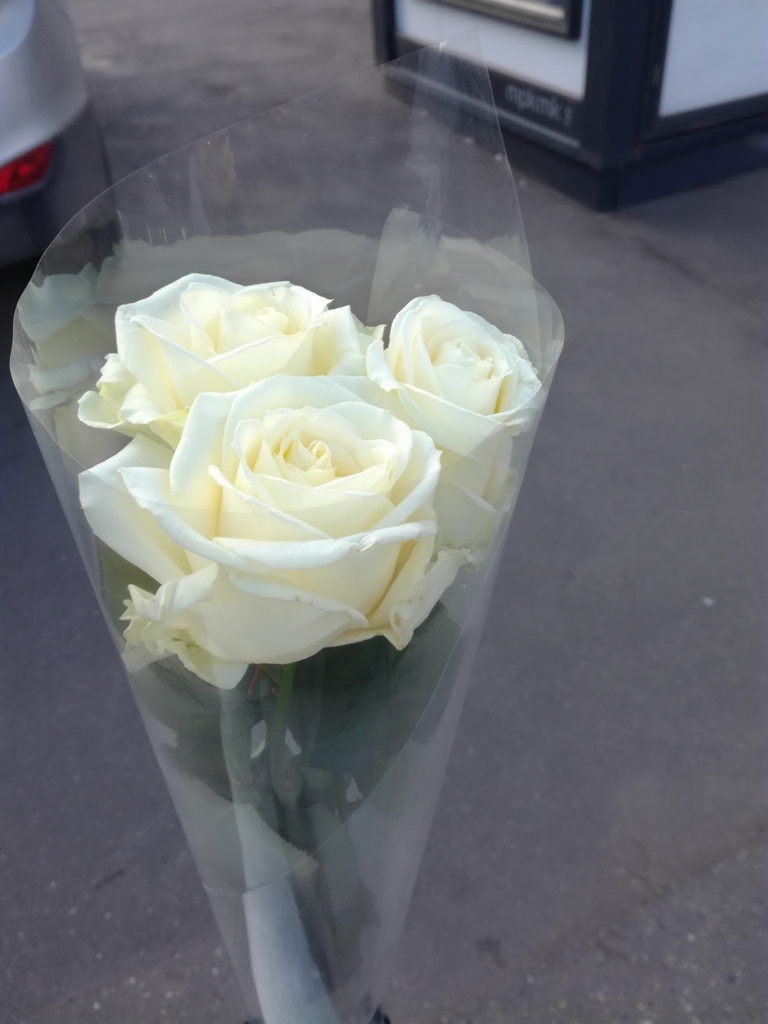 f:id:mathmos:20171127065250j:plain f:id:mathmos:20171127065250j:plain