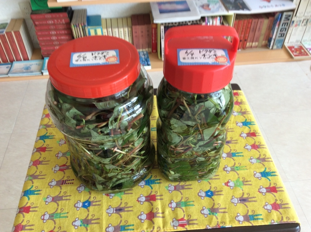 f:id:matilibrary:20180613115411j:plain f:id:matilibrary:20180613115411j:plain