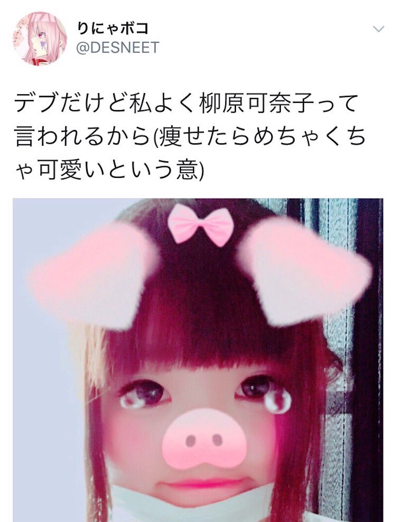 りにゃボコさんを救いたい まちすけの日記 りにゃボコさんを救いたい まちすけの日記