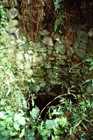f:id:matinoneko:20080101120044j:image f:id:matinoneko:20080101120044j:image